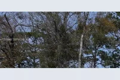 609 SE 2nd Ave, Chiefland, FL 32359 - Photo 4