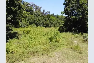 Na Luray Rd, Southwest Ranches, FL 33330 - Photo 4