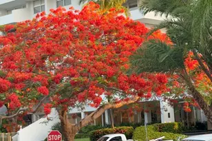 199 Ocean Ln Dr, Key Biscayne, FL 33149 - Photo 2