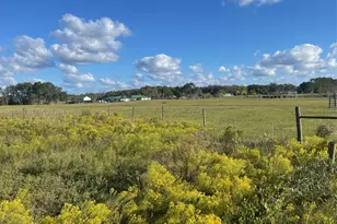 Huntington Shortcut Rd, Crescent City, FL 32112 - Photo 1