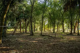 3880 Packinghouse Rd, Other City - In The State Of Florida, FL 33920 - Photo 36