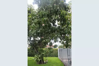 630 W 72nd Pl, Hialeah, FL 33014 - Photo 42