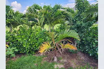 225 SW 31st Pl, Cape Coral, FL 33991 - Photo 22