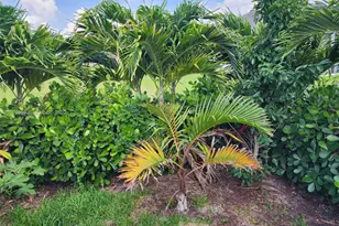 225 SW 31st Pl, Cape Coral, FL 33991 - Photo 22