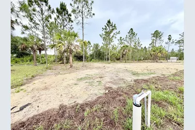 911 Cleveland Ave, Lehigh Acres, FL 33972 - Photo 58