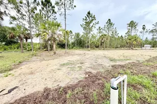 911 Cleveland Ave, Lehigh Acres, FL 33972 - Photo 58