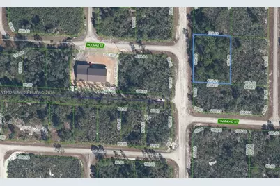 1139 Brook Hollow Rd, Lake Placid, FL 33852 - Photo 2