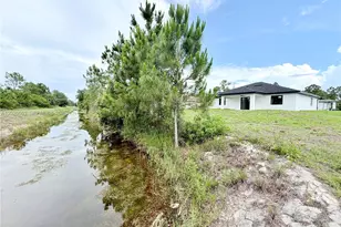 705 Colyer St E, Lehigh Acres, FL 33974 - Photo 62