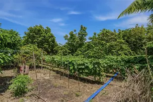 25800 SW 199th Ave, Homestead, FL 33031 - Photo 20