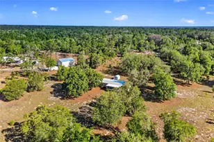 11751 NE 116th St, Other City - In The State Of Florida, FL 32618 - Photo 10