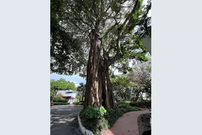 700 NE 63rd St #D408, Miami, FL 33138 - Photo 8