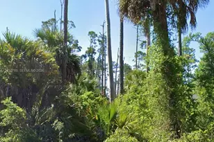 17453 Dudley Ave, Port Charlotte, FL 33954 - Photo 1