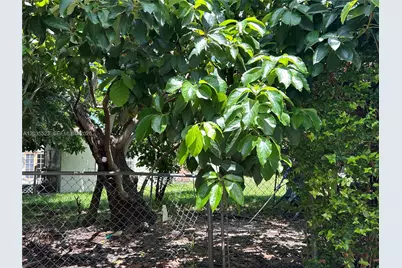 9600 N Miami Ave, Miami Shores, FL 33150 - Photo 8
