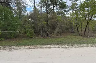 00 NE 4 St, Williston, FL 32696 - Photo 4