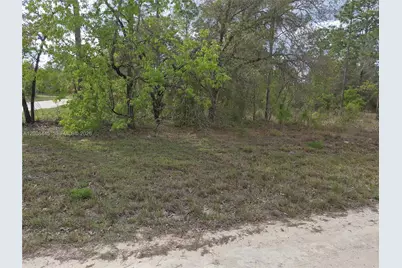 00 NE 4 St, Williston, FL 32696 - Photo 6