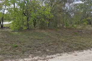 00 NE 4 St, Williston, FL 32696 - Photo 6