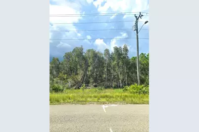 2650 Meadow Rd, Lehigh Acres, FL 33974 - Photo 1