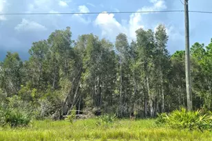 2650 Meadow Rd, Lehigh Acres, FL 33974 - Photo 1