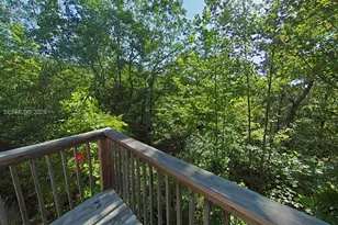 688 Rhododendron Dr Old Fort, , NC 28762 - Photo 34
