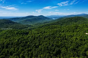 688 Rhododendron Dr Old Fort, , NC 28762 - Photo 16