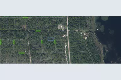 722 Ronnie Lane, Lake Placid, FL 33852 - Photo 2