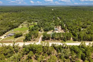 12251 SE 66th Pl, Other City - In The State Of Florida, FL 32668 - Photo 4
