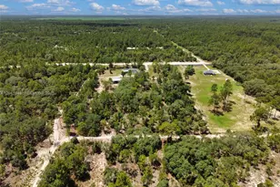 12251 SE 66th Pl, Other City - In The State Of Florida, FL 32668 - Photo 6