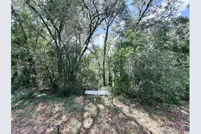 7932 N Elkcam Boulevard, Citrus Springs, FL 34433 - Photo 2