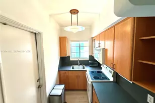 1341 Meridian Ave, Miami Beach, FL 33139 - Photo 8