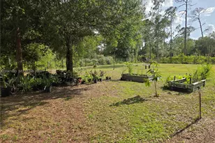 [Address not provided], Other City - In The State Of Florida, FL 33440 - Photo 18