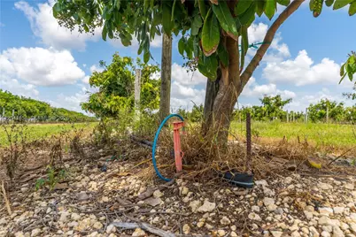 314Xx SW 228th Ave, Homestead, FL 33030 - Photo 18