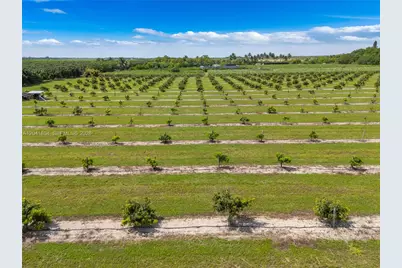 314Xx SW 228th Ave, Homestead, FL 33030 - Photo 10