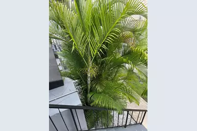 2010 SW 6th St #4, Miami, FL 33135 - Photo 10