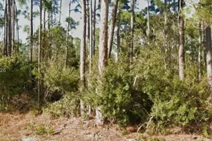 26442 Scham Rd, Punta Gorda, FL 33955 - Photo 1