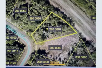1991 Walcott Loop, Lehigh Acres, FL 33972 - Photo 2