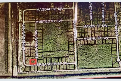 Merganser St SW & Slimtwig Ave, Palm Bay, FL 32908 - Photo 1