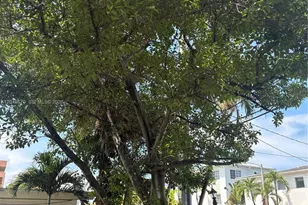 8020 Abbott Ave, Miami Beach, FL 33141 - Photo 2