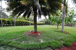 17569 N 89th Pl N, Loxahatchee, FL 33470 - Photo 26