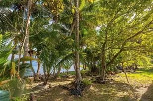 4531 SW 146th Ct, Miami, FL 33175 - Photo 14
