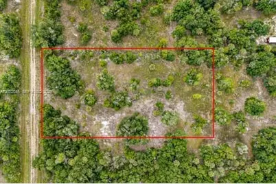 20378 NW 296th Street, Okeechobee, FL 34972 - Photo 6