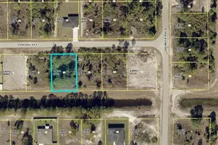 854 Foxtail St, Lehigh Acres, FL 33974 - Photo 1