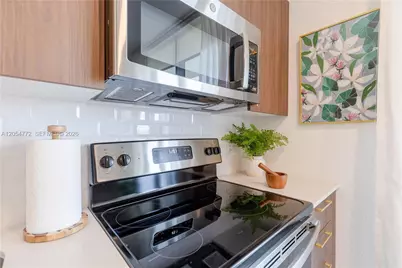 1005 Spring Garden Rd #431, Miami, FL 33136 - Photo 6