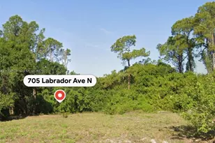 705 Labrador Ave N, Lehigh Acres, FL 33971 - Photo 1