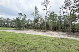 1216 James Ave, Lehigh Acres, FL 33972 - Photo 50