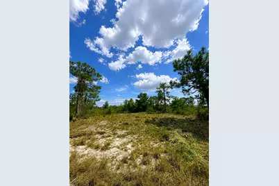3554 Mariana Ave, Lake Placid, FL 33852 - Photo 4