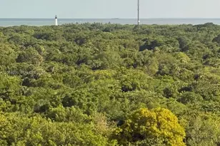 1111 Crandon Blvd, Key Biscayne, FL 33149 - Photo 32