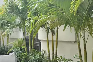7521 NE 2nd Ct, Miami, FL 33138 - Photo 42
