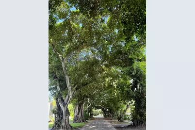 1125 Almeria Ave #Cottage, Coral Gables, FL 33134 - Photo 14