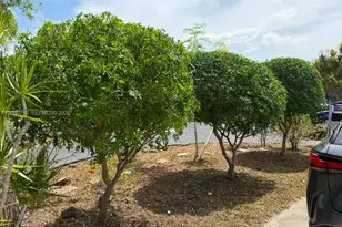 3160 NW 63rd St, Fort Lauderdale, FL 33309 - Photo 24