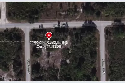 6020 Olive Ave N, Lehigh Acres, FL 33971 - Photo 1